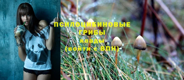 ALPHA PVP Алзамай
