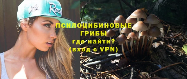 героин Алексин