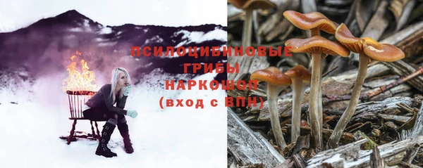СК Алексеевка