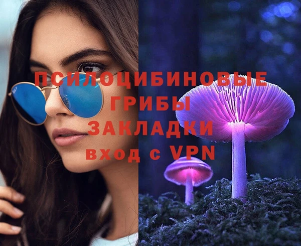 СК Алексеевка